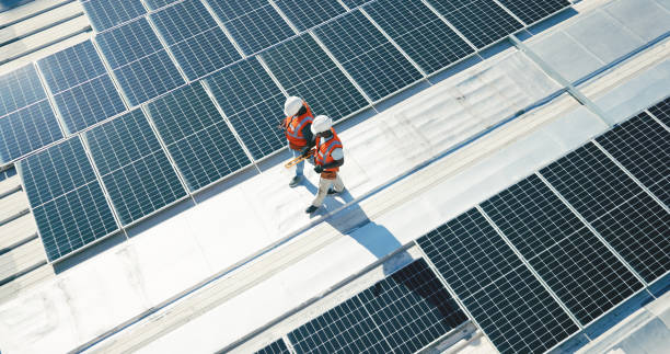 Best Skylight Installation and Repair  in Flatonia, TX
